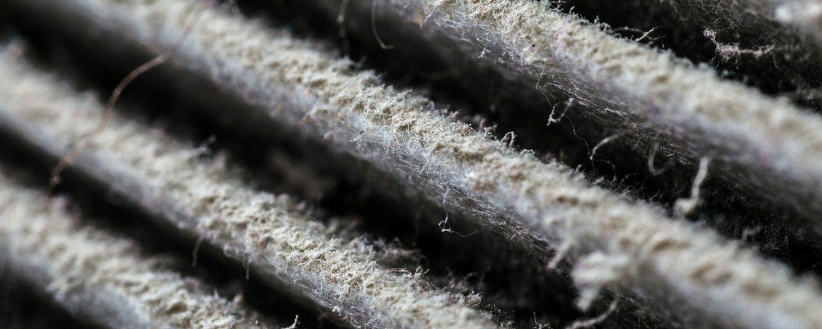 How Car Filter Replacement Helps Avoid Expensive Engine Repair Miracle Body and Paint San Antonio Texas