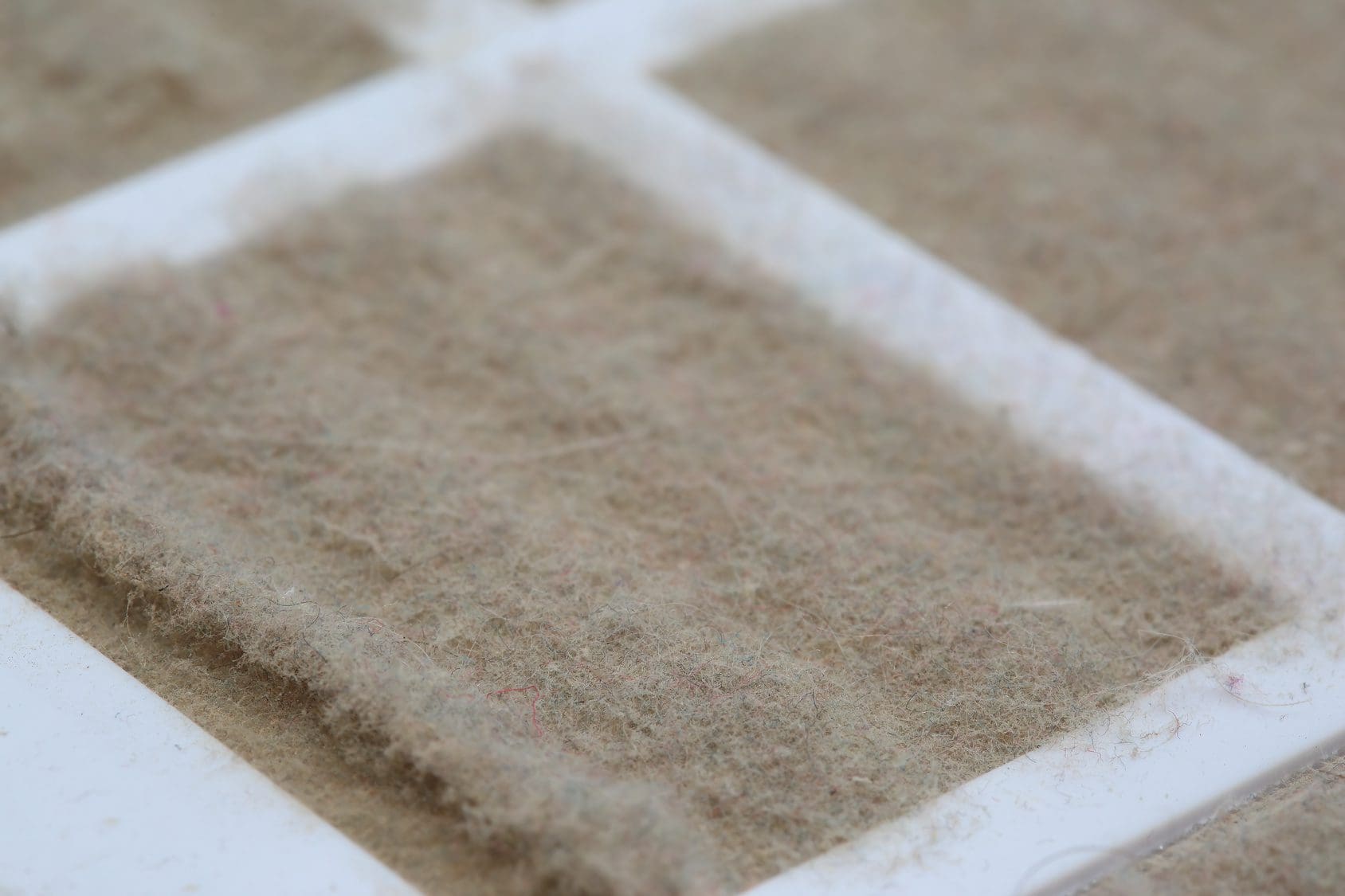 Why You Need A Car Air Filter Change Miracle Body and Paint San Antonio Texas