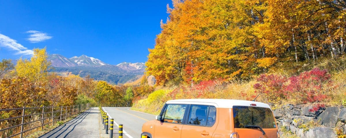 Tips for Fall Driving Miracle Body and Paint San Antonio Texas