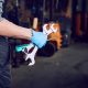 Car Repair: Setting Expectations Miracle Body and Paint San Antonio Texas