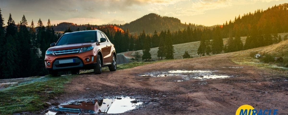 3 Vital Tips on How to Avoid Deer-Related Auto Collision